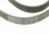 Пасок поліклиновий 7PK1800 CONTITECH 7PK1801 (фото 4)