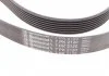 Поликлиновой ремень RANGE ROVER II 4.0 4x4 01/95-03/02 (Пр-во Contitech) CONTITECH 7PK2120 (фото 2)