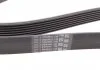 Поликлиновой ремень RANGE ROVER II 4.0 4x4 01/95-03/02 (Пр-во Contitech) CONTITECH 7PK2120 (фото 3)