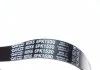 Ремень поликлин. (пр-во) DAYCO 6PK1530 (фото 2)