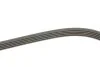 Ремень поликлин. 5PK1025 (пр-во Gates) GATES 5PK1023 (фото 3)