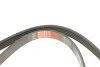 Ремень поликлин. 5PK1025 (пр-во Gates) GATES 5PK1023 (фото 4)