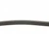 Поліклиновий ремінь CITROEN C25 HONDA CIVIC V, CIVIC VI, CRX III PEUGEOT J5 ROVER 400 II SUZUKI SWIFT III 1.3-1.9D 07.87-06.15 CONTITECH 4PK795 (фото 2)