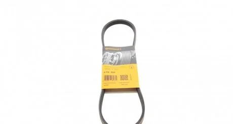 Ремінь полікліновий (Вир-во ContiTech) CONTITECH 4PK800