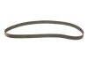 Ремкомплекты привода ГРМ автомобилей с водяным насосом PowerGrip Kit GATES KP25491XS (фото 2)