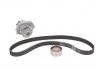 Комплект ГРМ, пас+ролик+помпа SKF VKMC 022062 (фото 1)