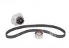 Комплект ГРМ, пас+ролик+помпа SKF VKMC 022062 (фото 2)