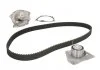Комплект (ремінь+ролик+помпа) SKF VKMC 06127