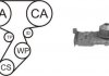 Насос води + комплект зубчатого ремня AIRTEX WPK-164101 (фото 1)