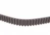 Комплект газорозподільчого механізму CONTITECH CT 1049 WP1 (фото 4)