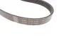 Комплект доріжкового ремня SKF VKMA 36055 (фото 3)