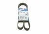 Ремінь поліклін. 6PK1256 (Вир-во Bosch) BOSCH 1 987 947 887 (фото 1)