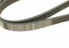 Ремінь поліклін. 6PK1256 (Вир-во Bosch) BOSCH 1 987 947 887 (фото 4)