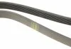 Поліклиновий ремінь (6PK1293) AUDI 100 C4, A6 C4 SEAT TOLEDO II VW BORA, BORA I, GOLF IV 2.2/2.3 12.90-06.06 BOSCH 1 987 948 487 (фото 4)