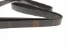 Ремень п-клиновой 6pk2120 (пр-во Bosch) BOSCH 1 987 947 821 (фото 3)