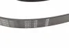 Доріжковий ремінь 6PK2285 BOSCH 1 987 946 082 (фото 3)