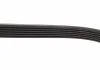 Ремень поликлин. 6PK2145 (пр-во Bosch) BOSCH 1 987 947 834 (фото 4)