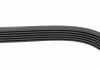 Поліклиновий ремінь (6PK1432) VOLVO 850, S70, S80 I, V70 I ALFA ROMEO GIULIETTA AUDI A1, A3 CHRYSLER PT CRUISER LANCIA DELTA III SEAT ALTEA, ALTEA XL, IBIZA IV, IBIZA IV SC 1.2-2.5D 08.95-05.22 BOSCH 1 987 948 336 (фото 3)