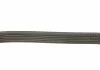 Ремень п-клиновой 6pk1570 (пр-во Bosch) BOSCH 1 987 946 014 (фото 3)