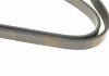 Ремень п-клиновой 6pk1570 (пр-во Bosch) BOSCH 1 987 946 014 (фото 4)