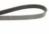 Ремень поликлин. 5PK1135 (пр-во Bosch) BOSCH 1 987 948 410 (фото 4)
