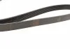 Ремень поликлин. 6PK1460 (пр-во Bosch) BOSCH 1 987 947 948 (фото 3)