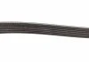 Ремень поликлин. 6PK1460 (пр-во Bosch) BOSCH 1 987 947 948 (фото 4)