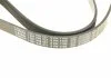 Ремень поликлин. 6PK1100 (пр-во Bosch) BOSCH 1 987 948 437 (фото 3)