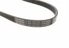 Ремень п-клиновой 5pk905 (пр-во Bosch) BOSCH 1 987 947 914 (фото 3)