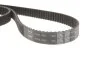 Ремкомплект ГРМ AUDI A6 (4A, C4) 2.8 (вир-во) SKF VKMA 01200 (фото 9)