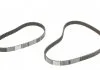 Комплект (ремінь+ролики) CONTITECH CT 901 K3 (фото 16)