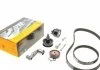 Комплект пасу ГРМ VW Golf IV /Lupo 1.4 16V 97-05 (CONTITECH CT 957 K2