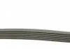 Натяг паса (комплект) CONTITECH 6PK1070 K1 (фото 2)