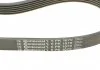 Натяг паса (комплект) CONTITECH 6PK1070 K1 (фото 4)