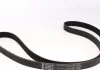 Ремкомплект грм VAG 078198119 (Вир-во) INA 530 0178 10 (фото 7)