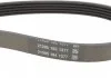 Натяг паса (комплект) CONTITECH 5PK1121 EXTRA K1 (фото 3)