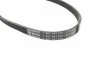 Поліклиновий ремінь (4PK820) HONDA ACCORD VI, CITY, CITY III, CIVIC VI, CR-V I NISSAN ALMERA I, CABSTAR, NAVARA NP300, NT400 CABSTAR, PATHFINDER III SUZUKI SWIFT III 1.0-2.5D 12.89- BOSCH 1 987 947 970 (фото 2)
