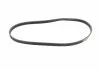 Поліклиновий ремінь (4PK820) HONDA ACCORD VI, CITY, CITY III, CIVIC VI, CR-V I NISSAN ALMERA I, CABSTAR, NAVARA NP300, NT400 CABSTAR, PATHFINDER III SUZUKI SWIFT III 1.0-2.5D 12.89- BOSCH 1 987 947 970 (фото 5)