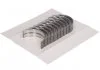 Вкладиші корінні (к-кт) GLYCO H1161/5 0.25MM (фото 1)