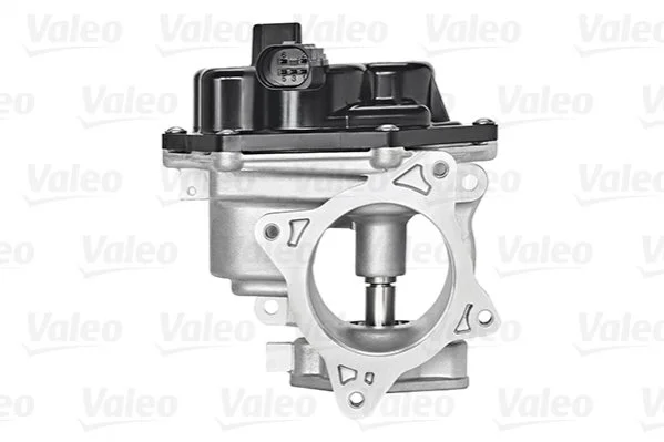Клапан рециркуляції газів (Valeo) VALEO 700448 (фото 1)