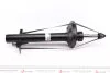 Амортизатор газовий BILSTEIN 22196682 (фото 1)