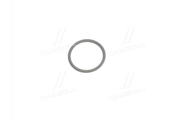 Кольцо форсунки с o-сечением (пр-во Bosch) BOSCH F00VD38010 (фото 1)
