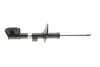 Амортизатор газомасляний BILSTEIN 22306753 (фото 1)