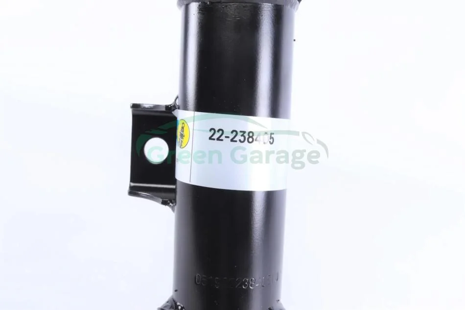 Амортизатор газомасляний BILSTEIN 22238405 (фото 1)