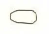 Уплотнительная рамка ТНВД VW, Audi, Renault, Iveco 96-04 (пр-во Bosch) BOSCH 1461015303 (фото 1)