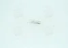 Лампа розжарювання 12V 1,2W PURE LIGHT (вир-во) BOSCH 1 987 302 208 (фото 1)
