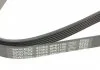 Ремень поликлин. (пр-во) DAYCO 6PK1100 (фото 4)