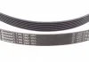 Поликлиновой ремень FORD TRANSIT (Пр-во Contitech) CONTITECH 7PK2967 (фото 2)