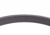 Поликлиновой ремень FORD TRANSIT (Пр-во Contitech) CONTITECH 7PK2967 (фото 3)