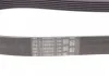 Ремінь полікліновий (Вир-во ContiTech) CONTITECH 6PK1029 ELAST (фото 3)